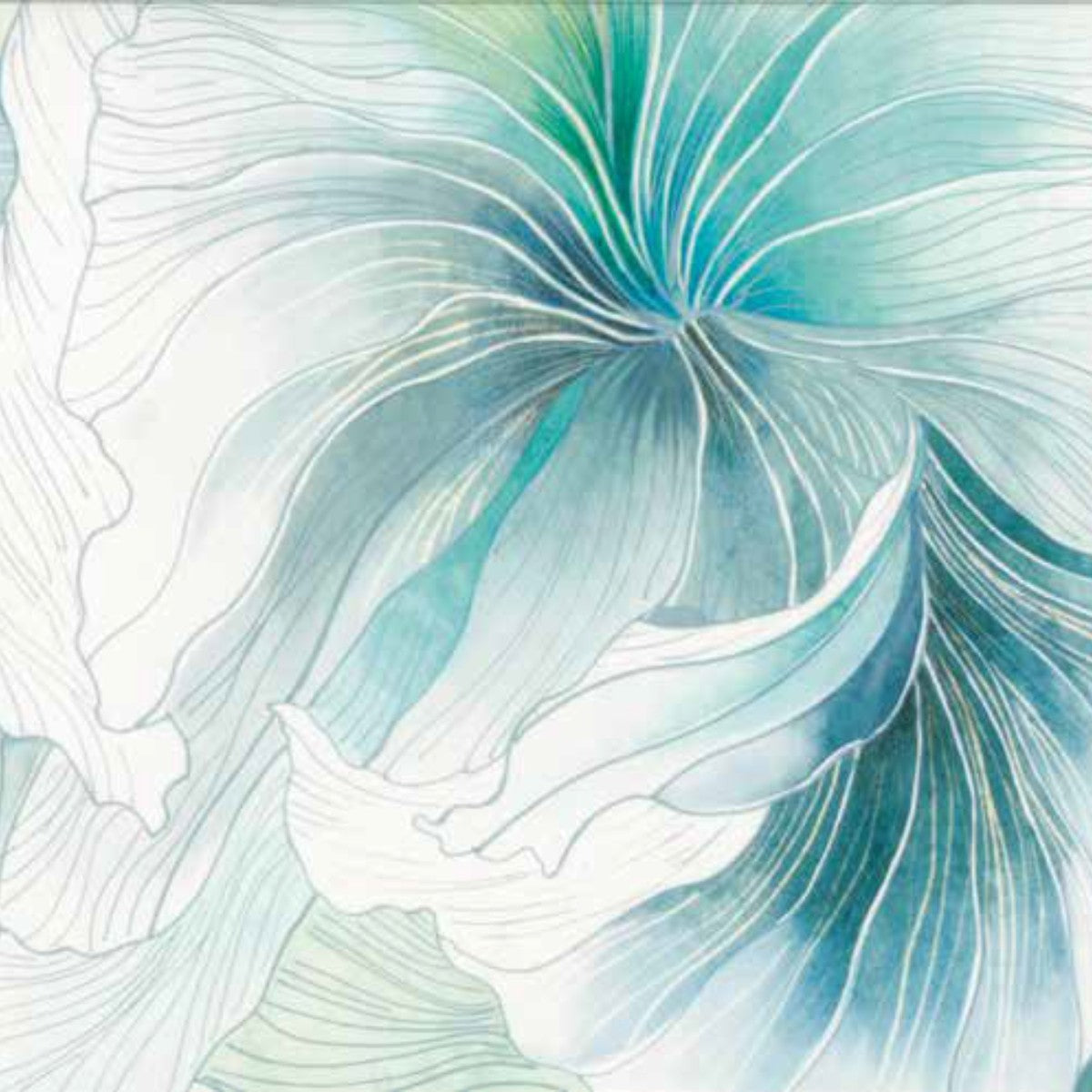 46056707